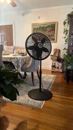 Lasko pedestal fan