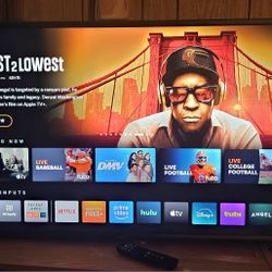 VIZIO 55" SMART  COLOR  TV &  FIRESTICK /