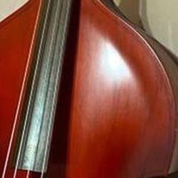 Epiphone upright store bass