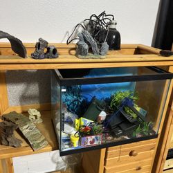 Aquarium Stuff 