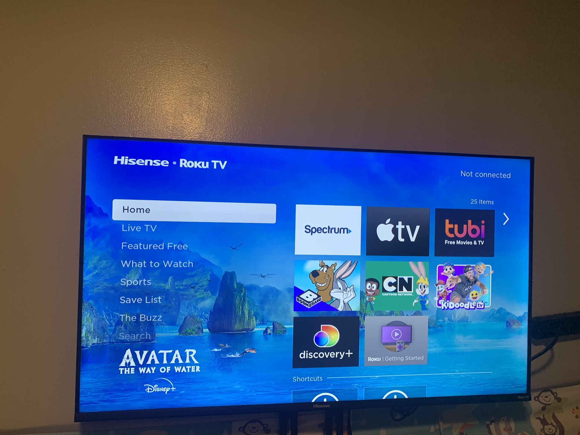 Hisense Roku Smart Tv