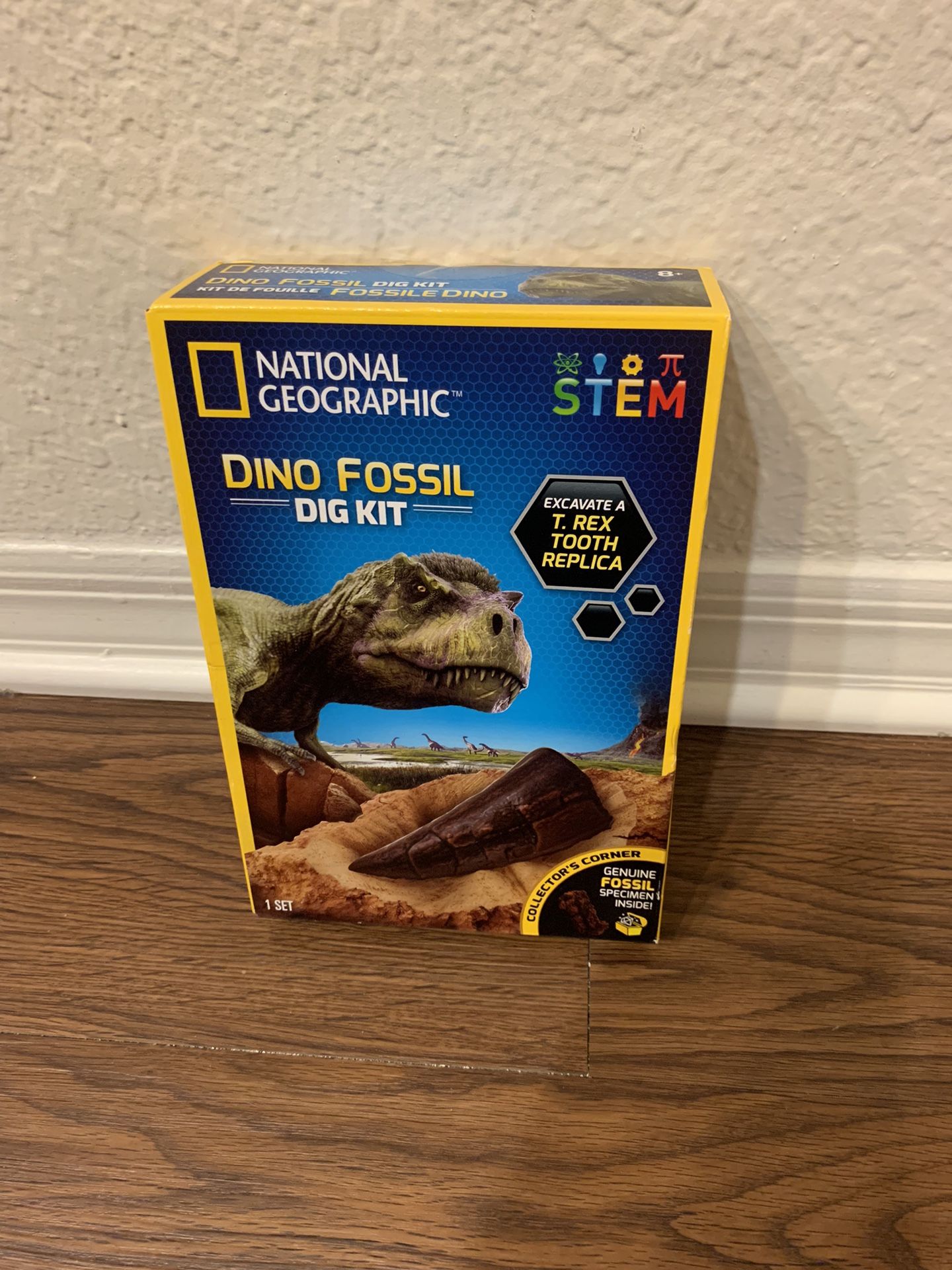 National Geographic Dino Fossil Dig Kit