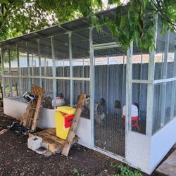 Chicken Coop Gallinero