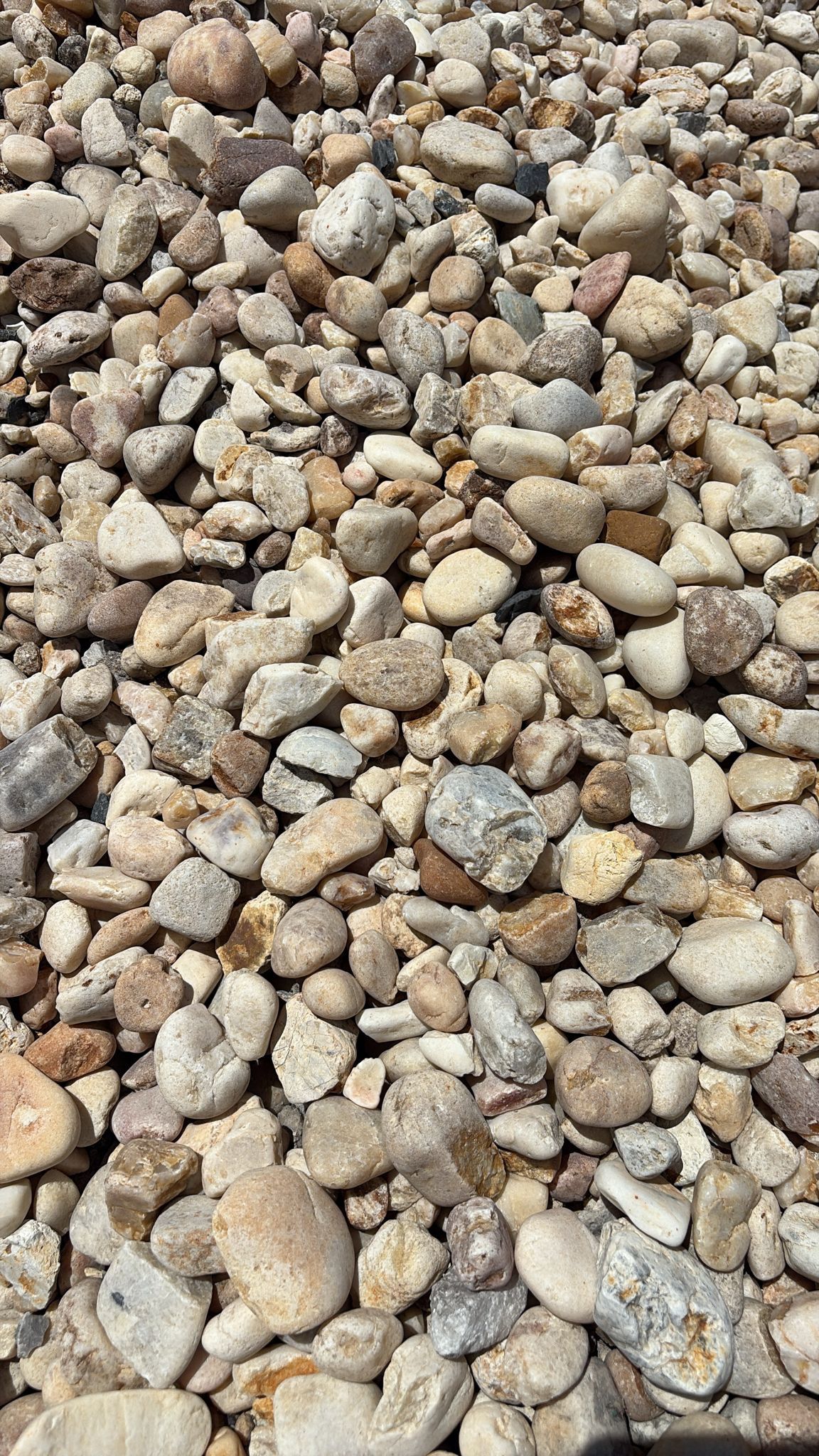 White River Rock - Yard