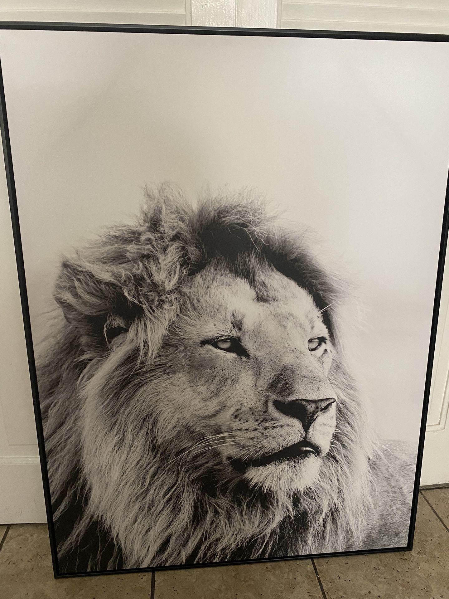 Wall art framed canvas