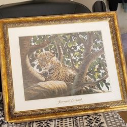 Picture frame wildlife