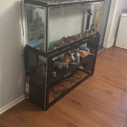 75 Gallon Fish Tank With Custom Lid And Newer Air Filter