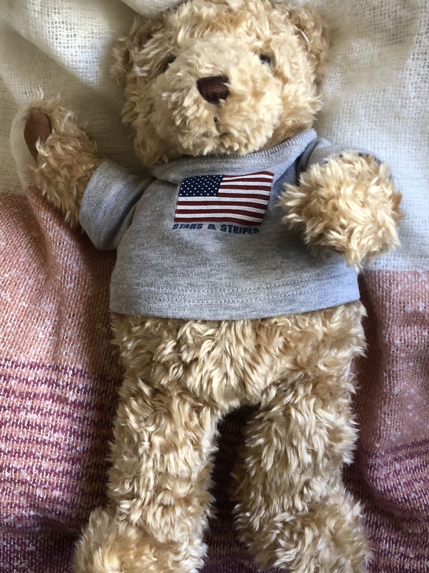 Gund Limited Edition Bear (year 2000)