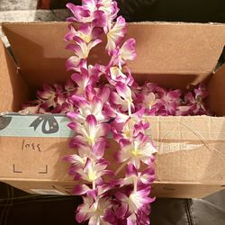 Box of 12 Purple and White Flower Leis