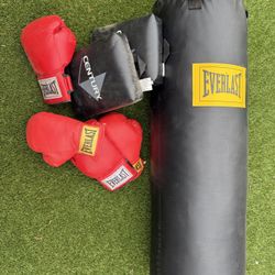 Punching Bag, Gloves Etc 
