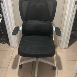 Ergonomic Office Chair