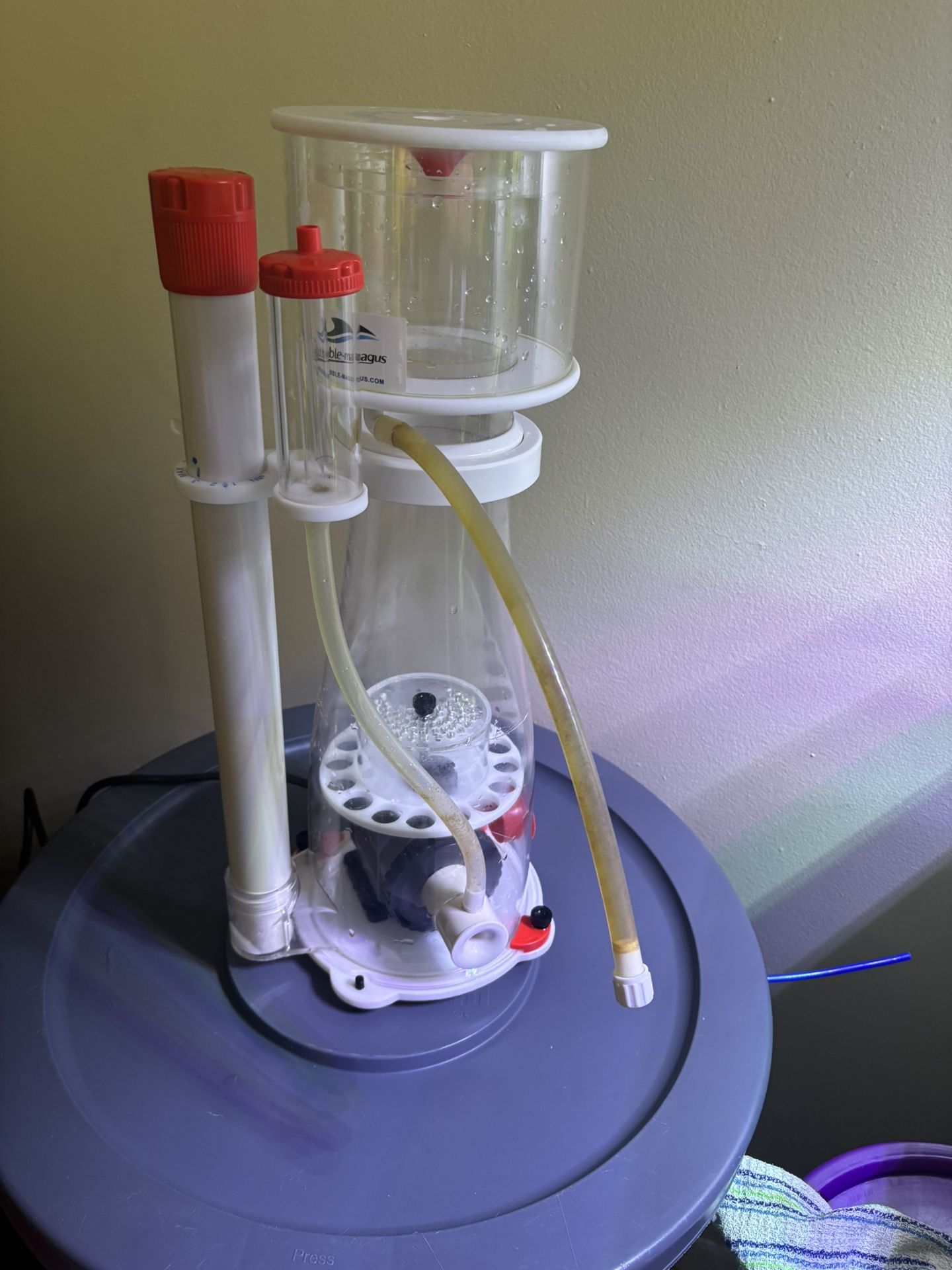 Bubble Magus Curve 7 Protein Skimmer