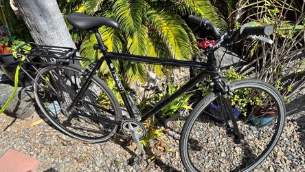 Trek Earl single speed bike
