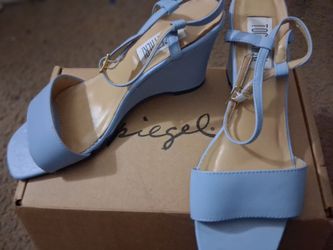 Light Blue Spiegel  Wedge Sandals with Ankle Strap