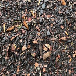 Potting Soil (Compost And Pine Bark Mix) - $75 Per Yard