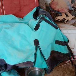 78. Horse Winter Blanket With Gussets