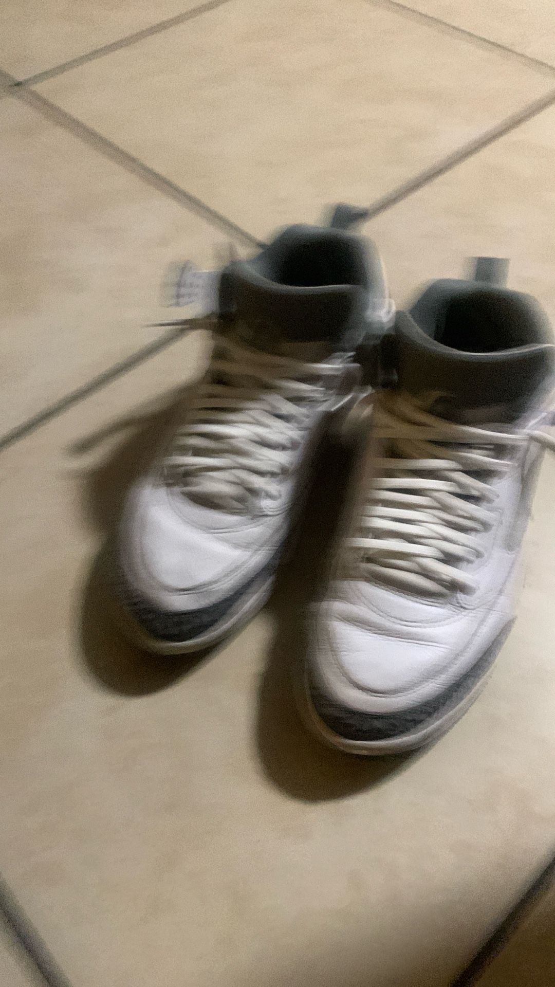 Jordan 3 Spikez