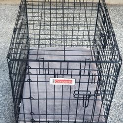 Dog kennel