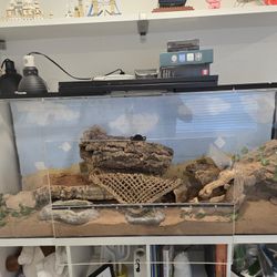 Reptile Terranium/aquarium 100 Gallons  Plexiglass