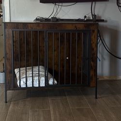 Dog Create For Tv 