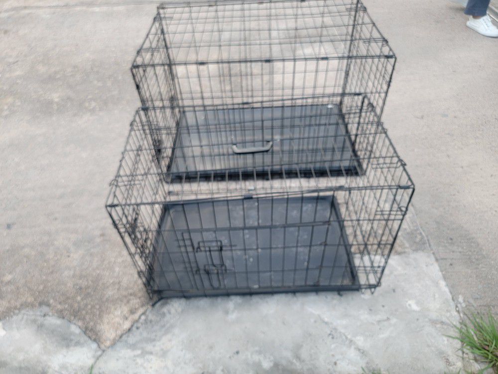 Dog Cage 50 For Both 