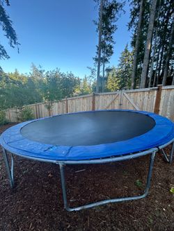 Large Trampoline