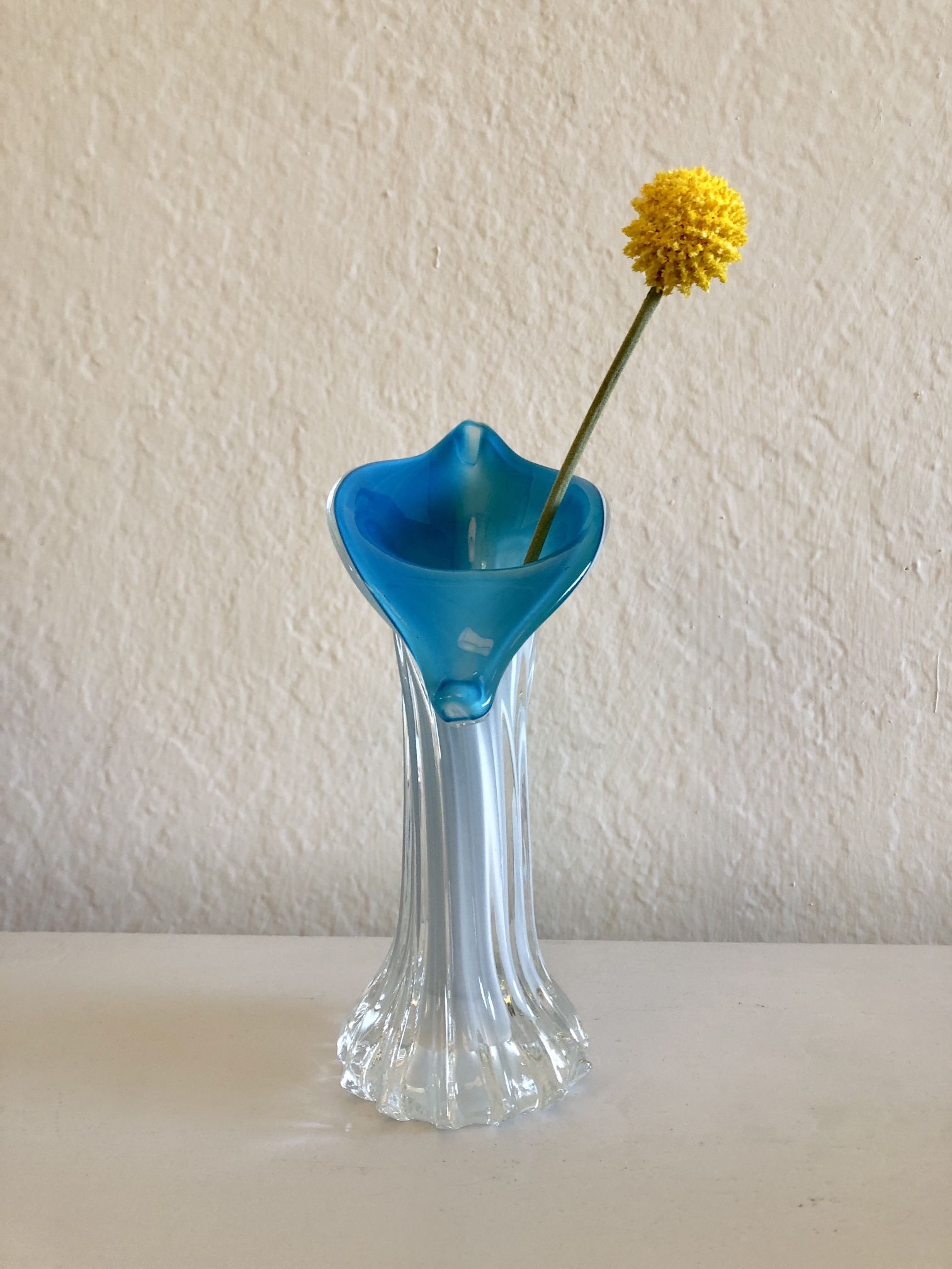 Vintage 1980’s Hand Blown “Jack In The Pulpit” Art Glass Case Fenton?