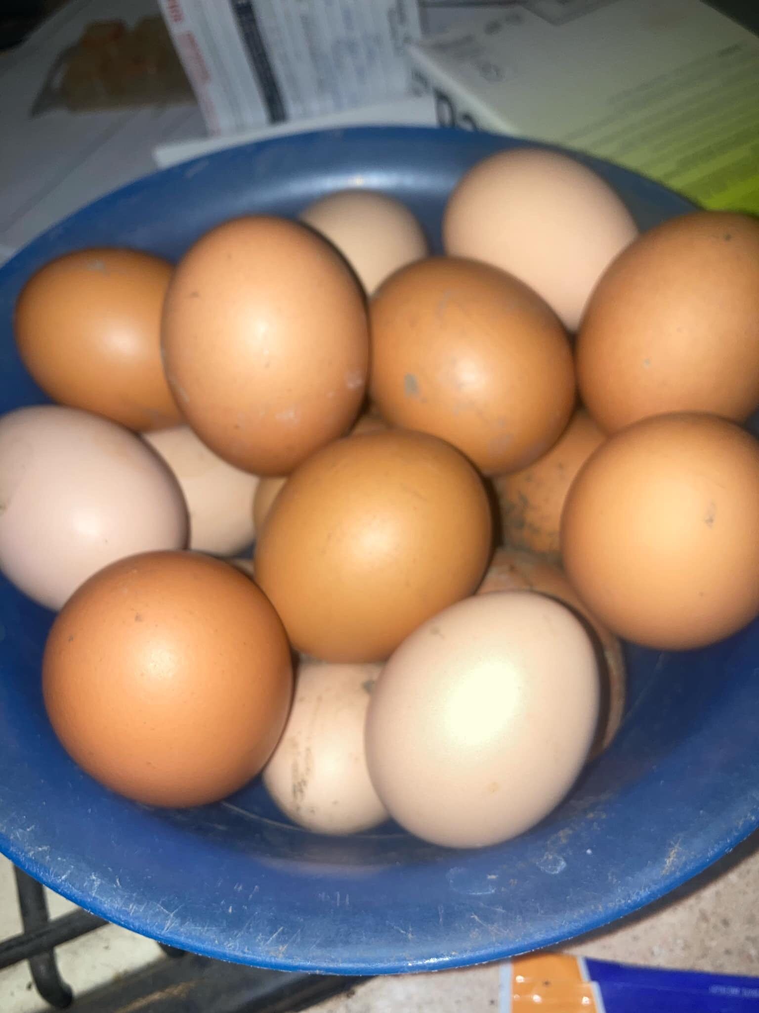 Farm Fresh Eggs