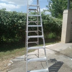 8 Ft Ladder