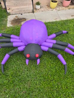 Big purple spider
