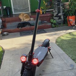 Electric Scooter/Patinete Electrico
