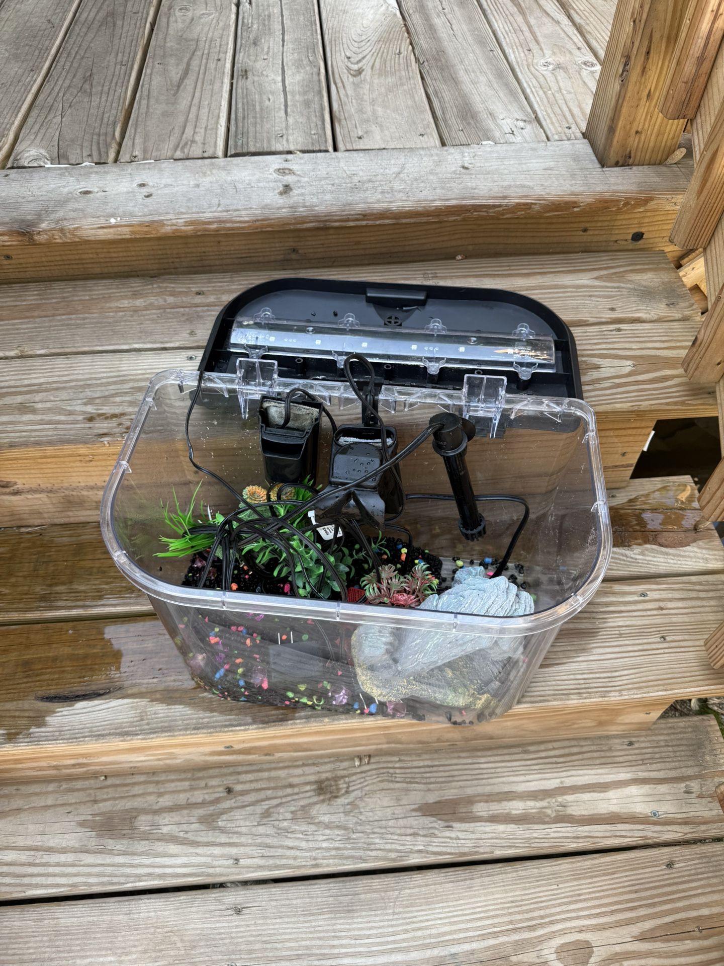 Complete 5gallon Fish Tank