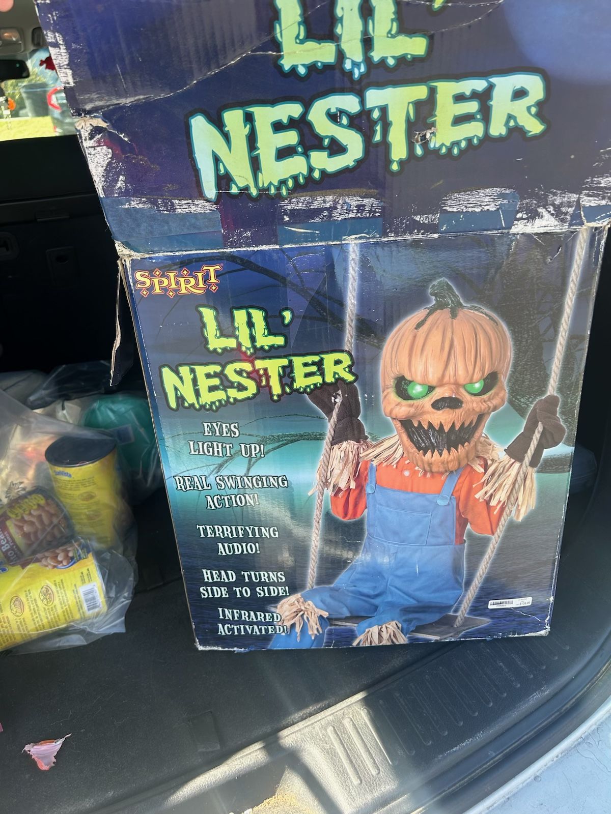 Little Nester