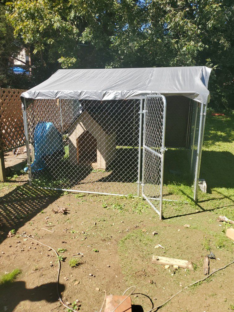Dog Kennel and Dog House