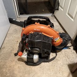 Echo Leaf Blower 