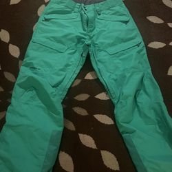 Green Patagonia H2NO Snow pants