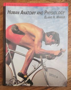 Human Anatomy Physiology - Hardcover, by Elaine Nicpon-Marieb - Good Condition