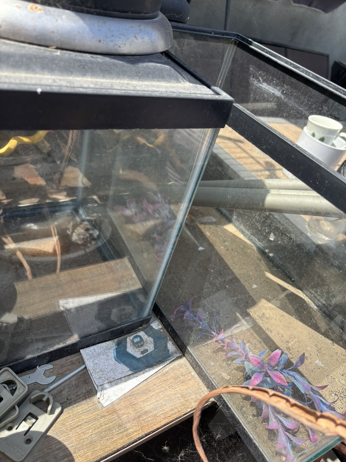 2 Fish Tank