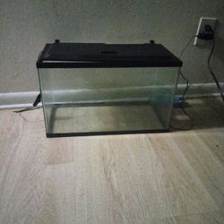 Fish Tank ( 10 Gallon )