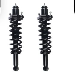 Rear Struts