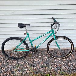 Mountain Bike 