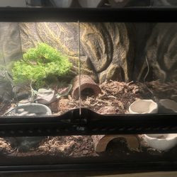 Tank plus more just Ask For More Info