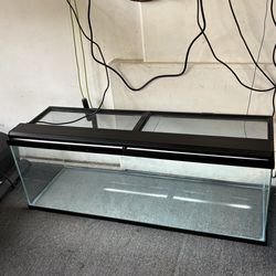 Reptile tank