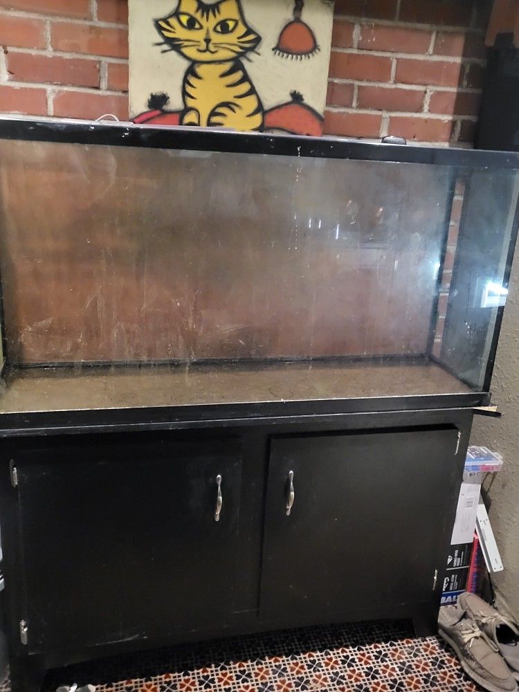 60 Gallon Aquarium 