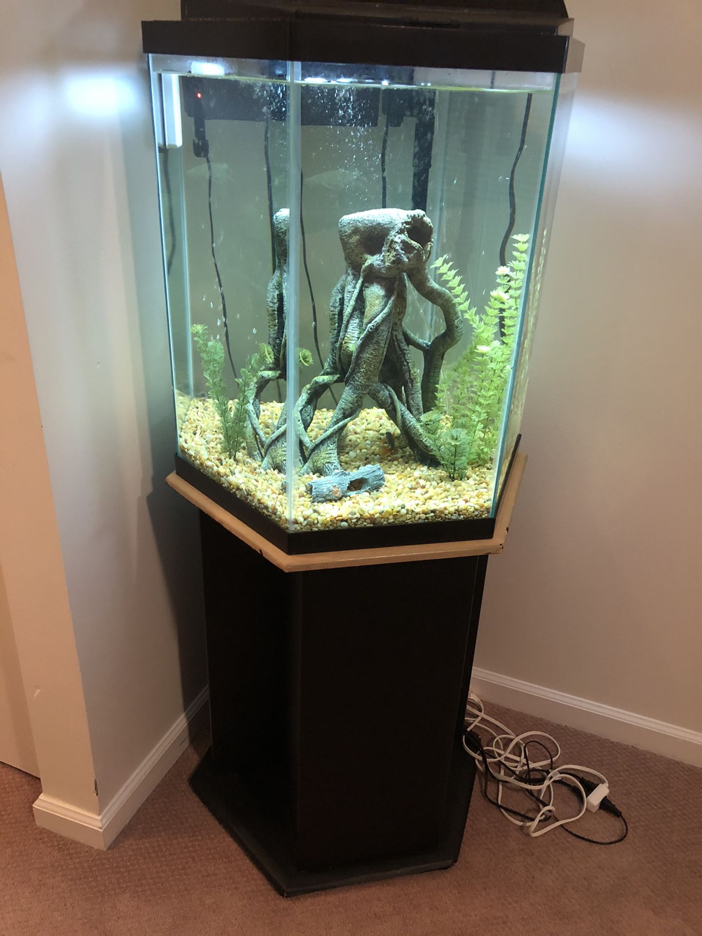 35 Gallon Hexagon Freshwater Fish Tank