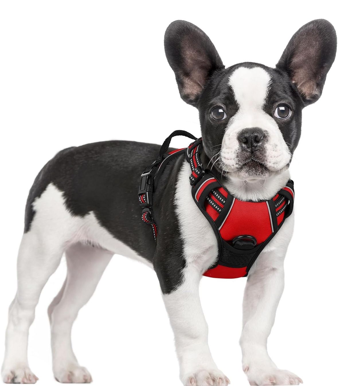 Rabbitgoo Dog Harness No Pull with 2 Leash Clips Adjustable Reflective Red&Teal