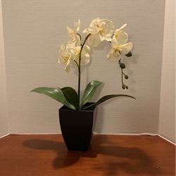 White Orchid Artificial Flower in Pot, Faux Phaleanopsis Orchid Bonsia 17 Inches Tall LR