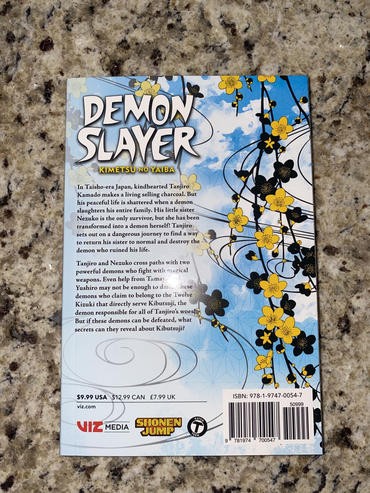 Demon Slayer: Kimetsu no Yaiba, Vol 3