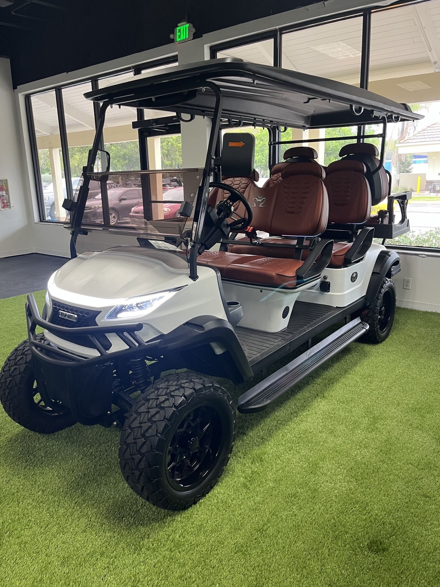 Golf Cart Venom EV 6 Pass