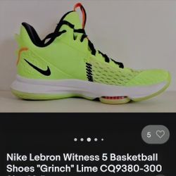 Nike Lebron Witness 5 Shoes 